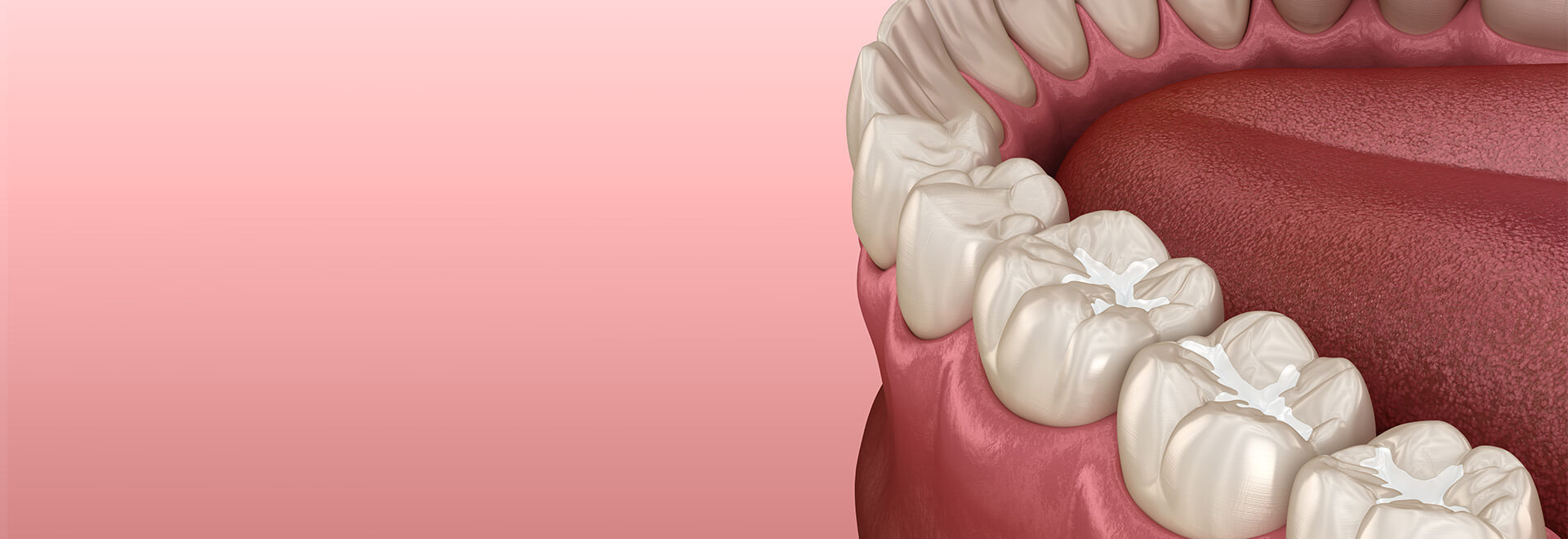 illustration of teeth